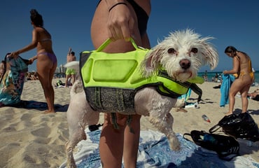 Beach Epiphany, Photography Competition & Awards