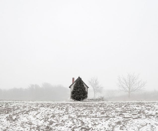 Tree and House, from the series Here, Anywhere, © Tamas Dezso. Honorable Mention, Lens Culture International Exposure Awards 2011