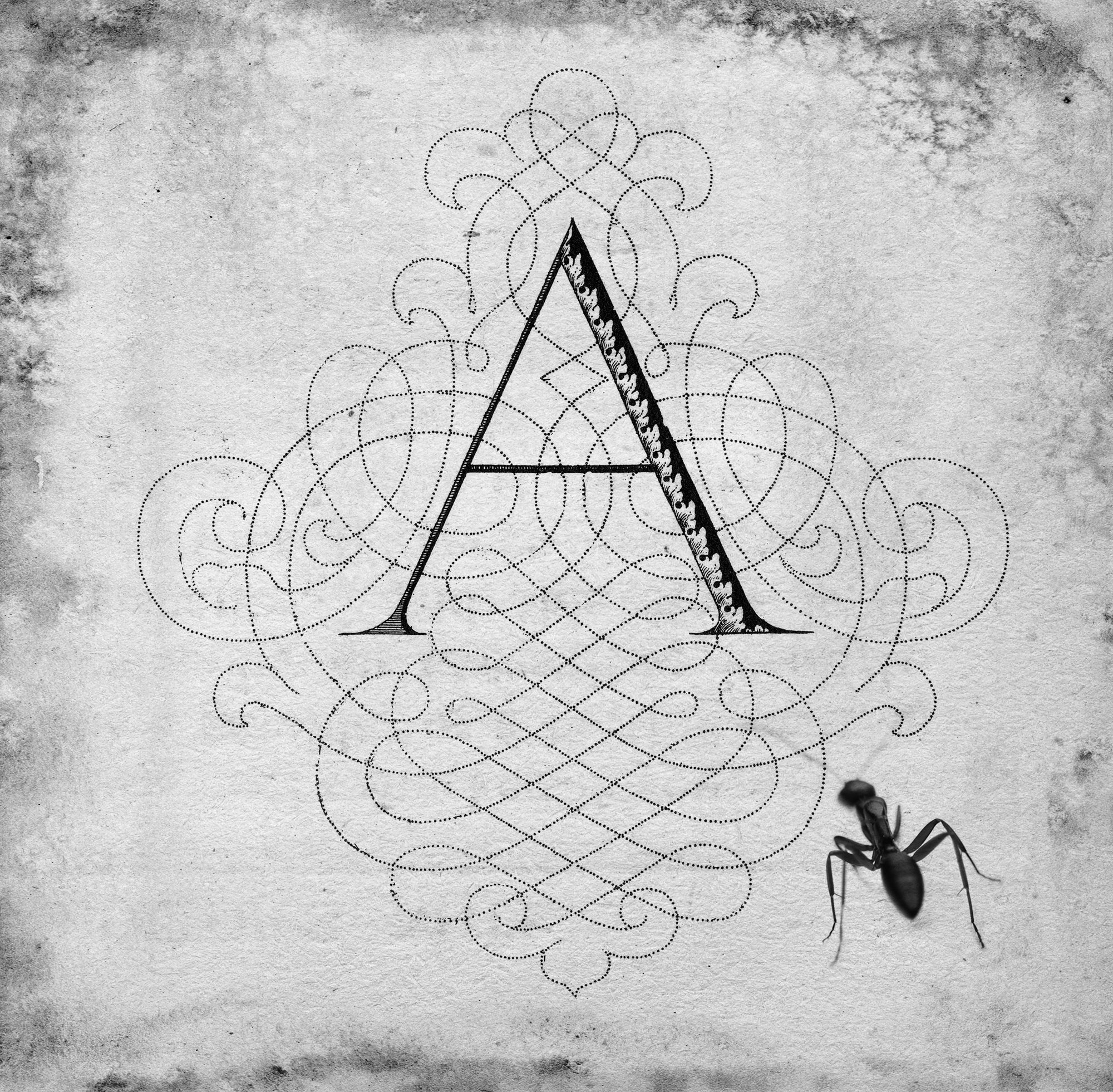 An alphabet of Found and Fallen