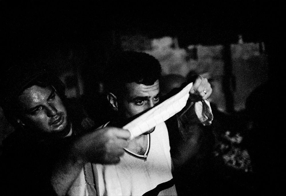 (珍しい本) DIES IRAE PAOLO PELLEGRIN (洋書) 珍しい本) DIES IRAE PAOLO PELLEGRIN (洋書)