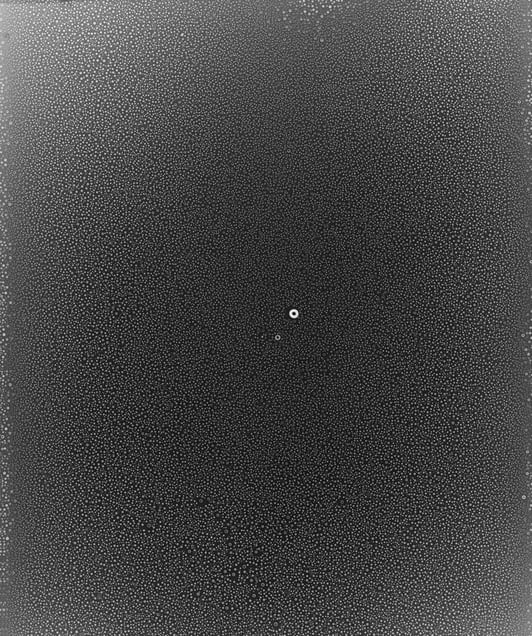 Rain Study (Puna) #10. Unique gelatin silver photogram of rain. 24x20 inches, 2014