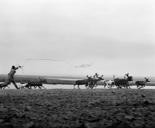 © Jeroen Toirkens, from the book Nomad, published by Lannoo