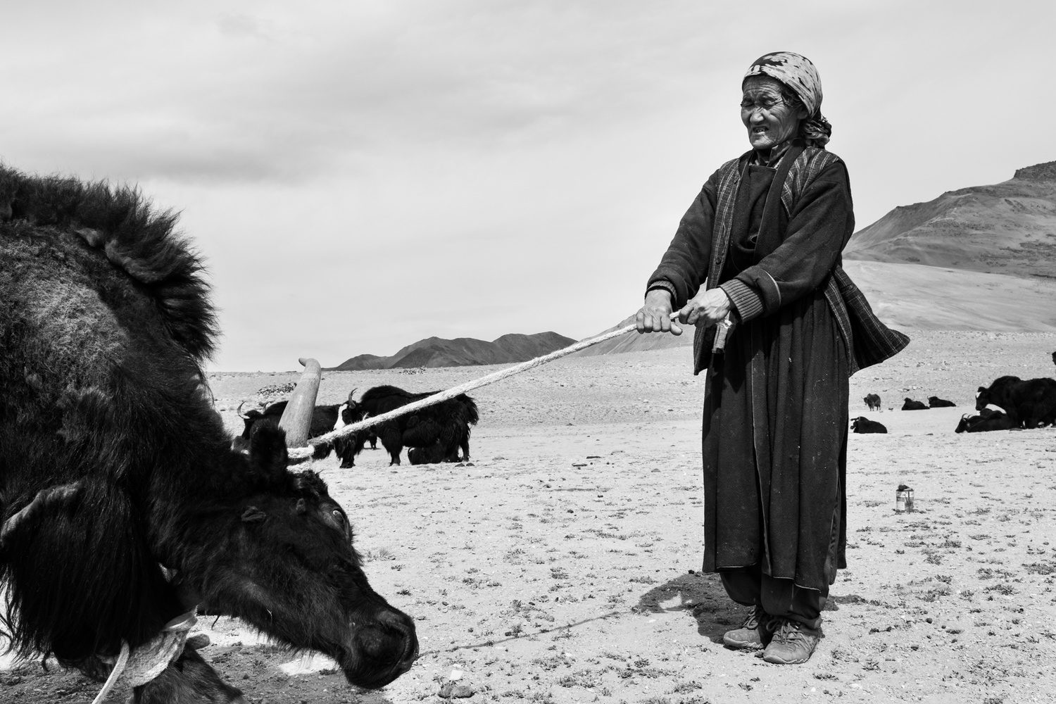 Nomads