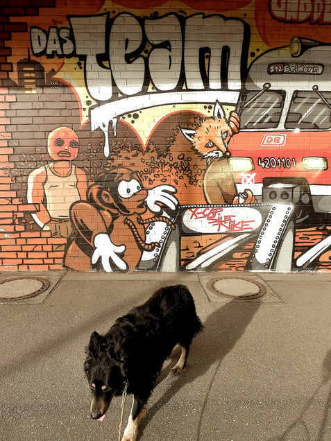 "TEAM TOTAL TRALLAFITTI TRANCE"