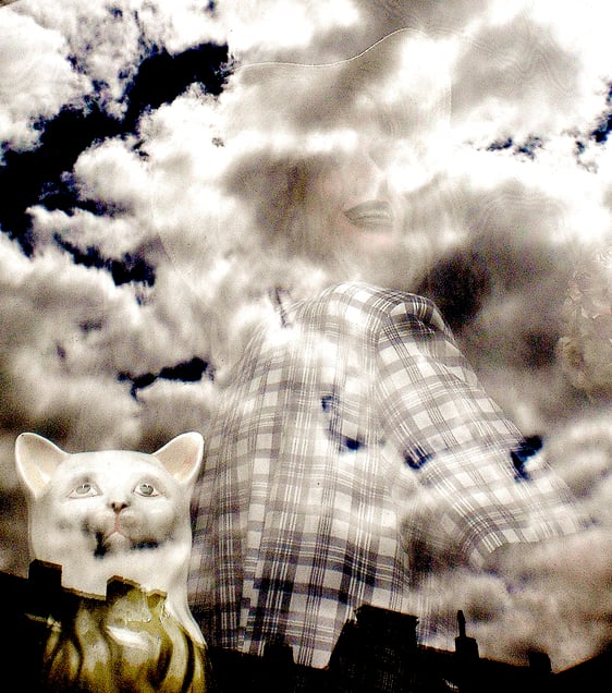 "BEWÖLKT MIT AUSSICHT AUF KATZENJAMMER KIDS" “CLOUDY WITH A CHANCE OF KATZENJAMMER KIDS”