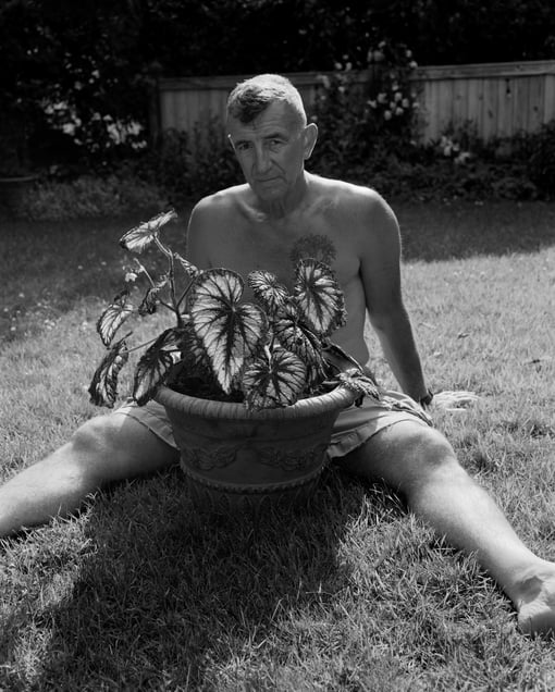 Dad (begonia)