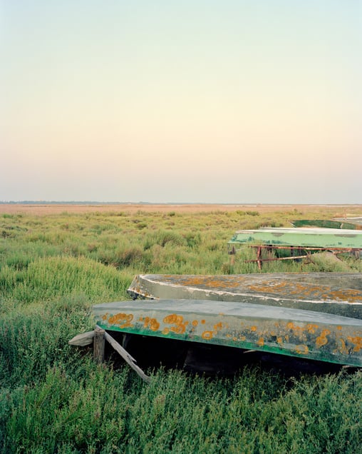 Etang de l’or II – Cabanes de Lunel – Marsillargues – 2021