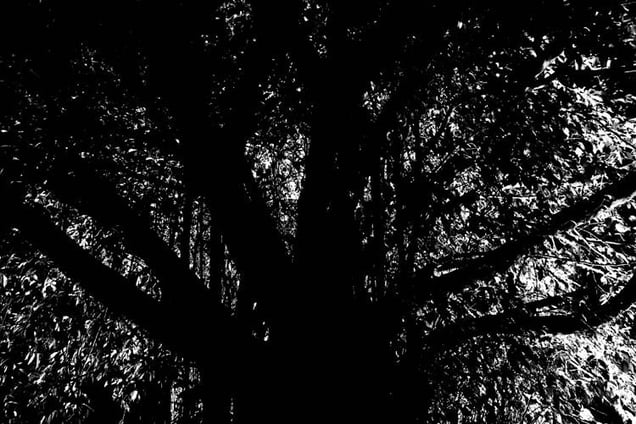 Recollecting Dream