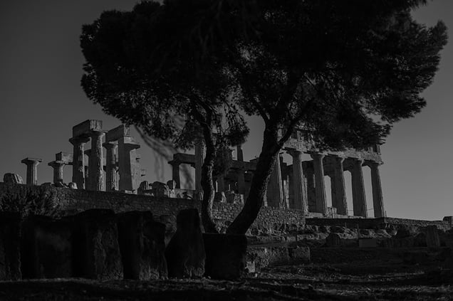 The temple of Aphaia and pine tree.