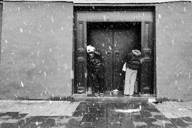 Twin Feeds Behind the Snow