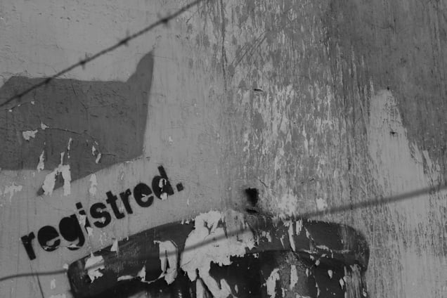 Filferros i murs.