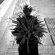 Cristóbal Carretero Cassinello