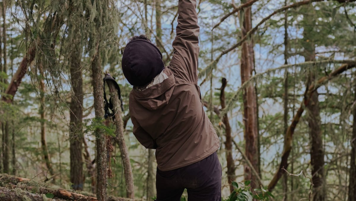 In Defense of Old Growth