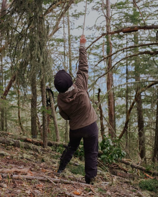 In Defense of Old Growth