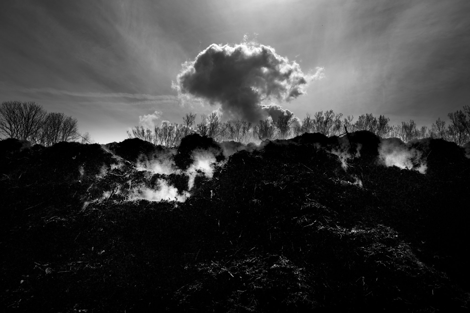 Terre Noire
