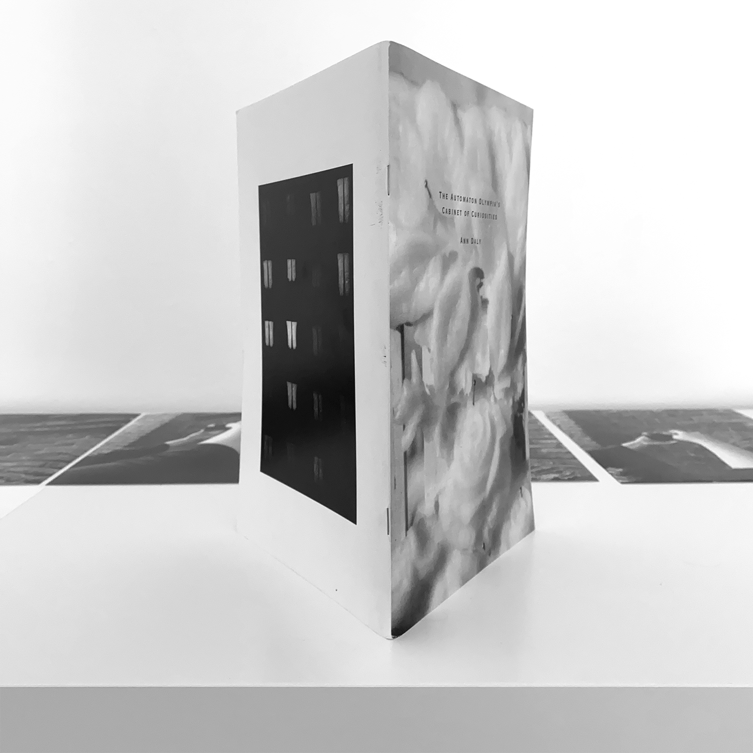 The Automaton Olympia's Cabinet of Curiosities: Ann Daly, 1996