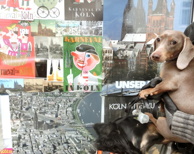 "CARNEVAL IN COLOGNE" or "Das ganze Jahr ist Karneval" "All year long is Carneval"