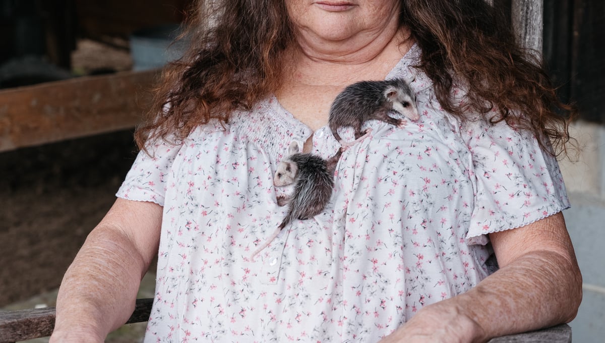 "Teresa and Her Possums", Efland, NC