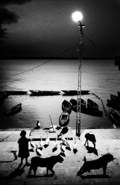 India. 2005. Early morning in Benares. The Little girl and her animals. The time I discovered the writings of Marquez.