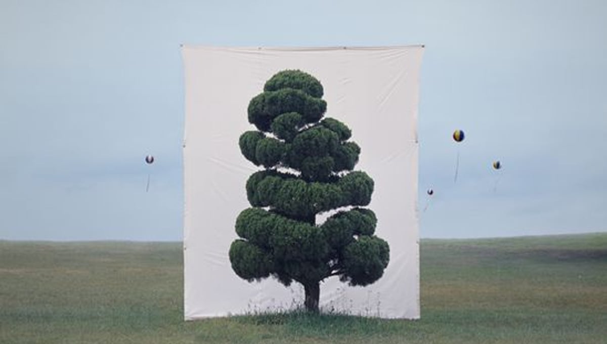 Tree #2, from the series Photography-Act © 2007 Myoung Ho Lee