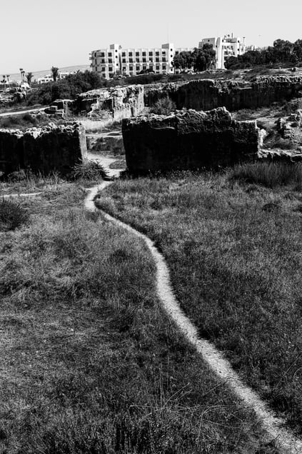 wall path thatch, no where