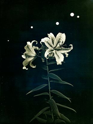 Photography Today 4: in their persistent endeavors to meet the world