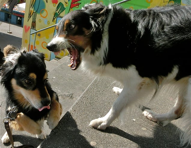 "YOU CAN'T TOUCH THIS!"