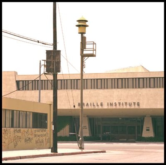 Dormant for over twenty years, they stand silently sculpturesque